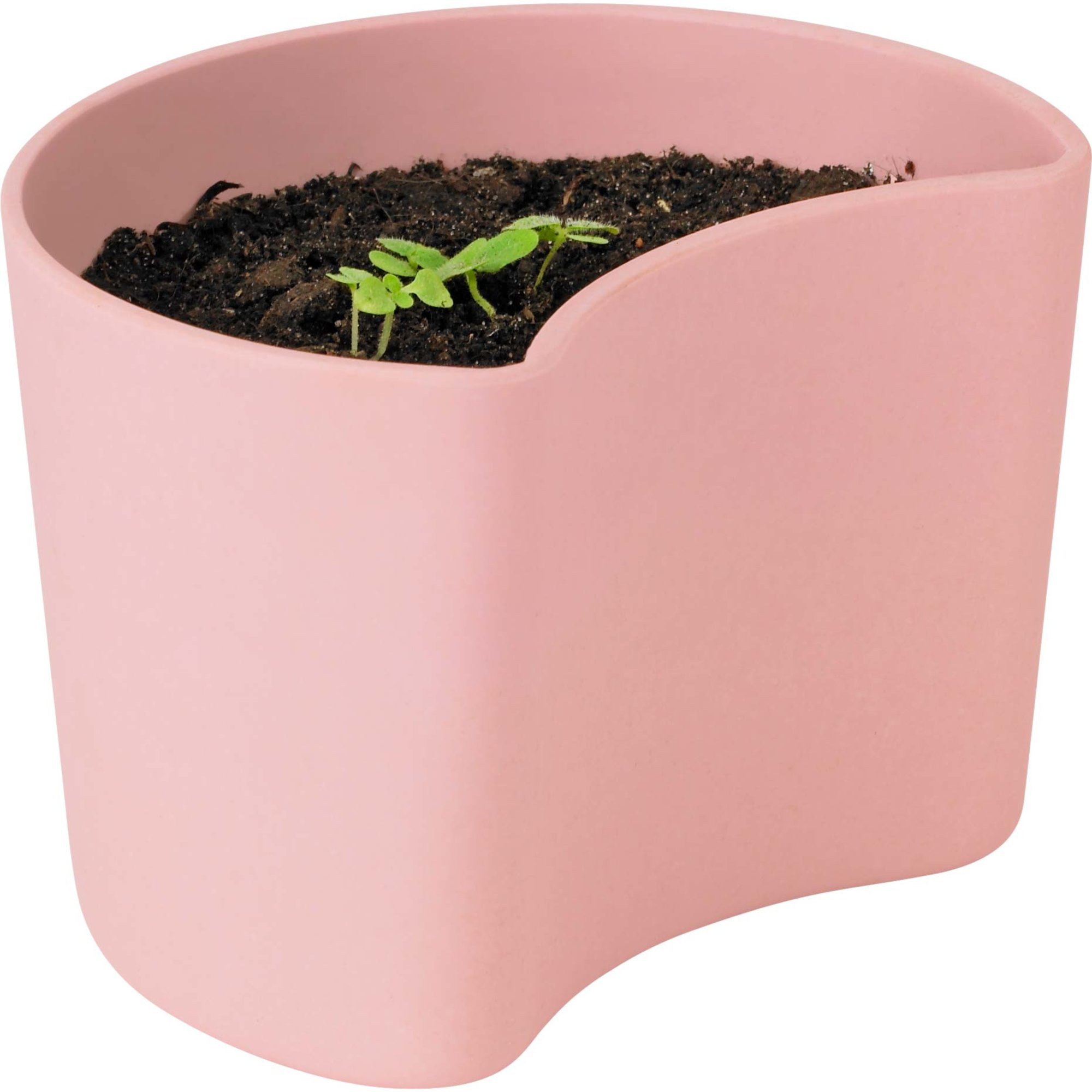 RIG-TIG Your Tree Plantepotte med frø rosa