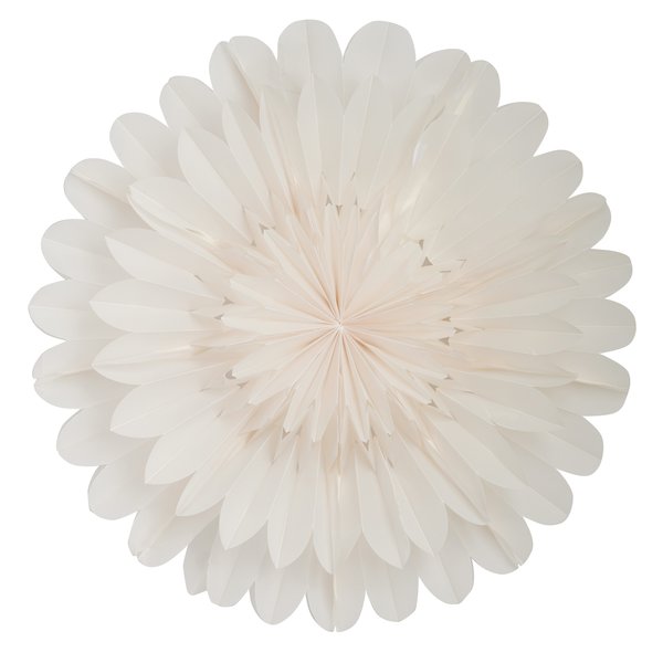 Lotus julestjerne 60 cm, white