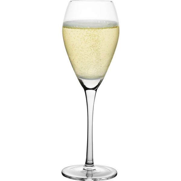 Champagneglass 16 cl, 8 stk
