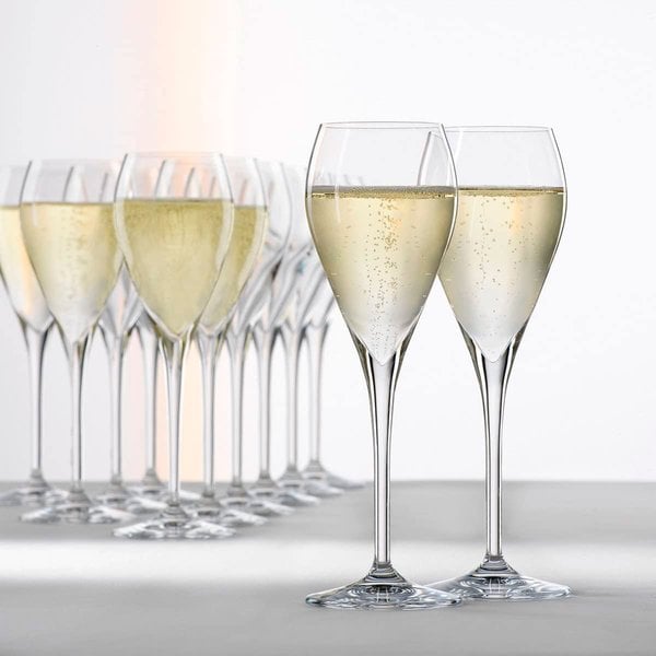 Special Party Champagneglas 16 cl, 6-pack