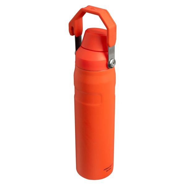 Aerolight Iceflow Bottle termoflaske 0.6 liter, tigerlily plum