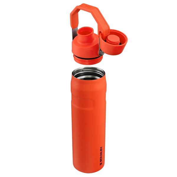 Aerolight Iceflow Bottle termoflaske 0.6 liter, tigerlily plum